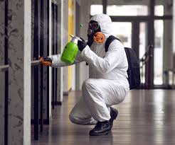 Best Black Mold Removal  in Dulce, NM